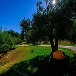 Maison d'hôtes Quinta Do Quinto
