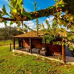 Quinta Do Quinto 게스트하우스 Porto da Carne