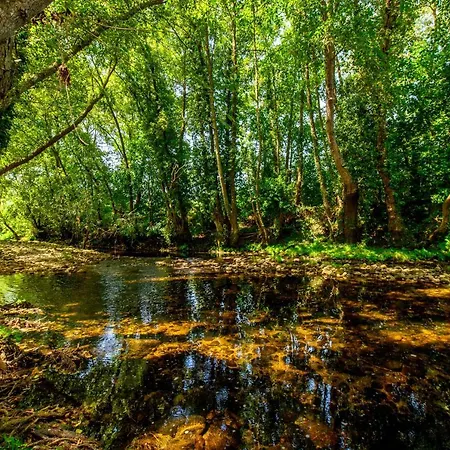 Herdade Do Mondego Pensión 4*