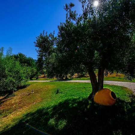 Casa de hóspedes Quinta Do Quinto