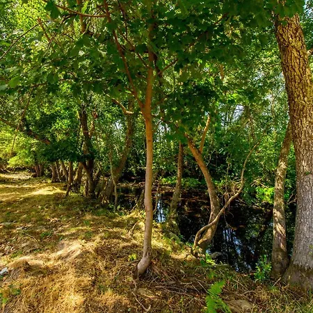 Herdade Do Mondego Pensión
