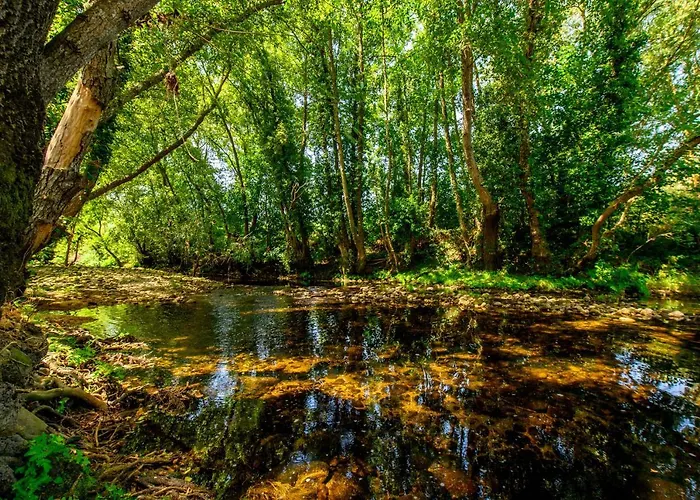 Quinta Do Quinto בית הארחה 4*