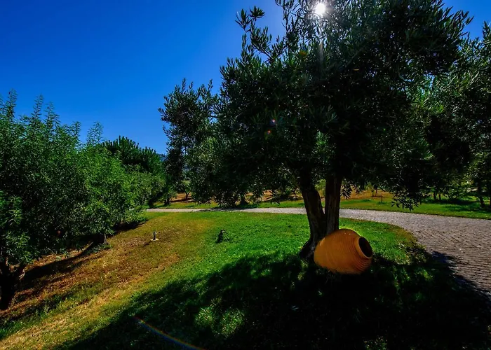 בית הארחה Quinta Do Quinto