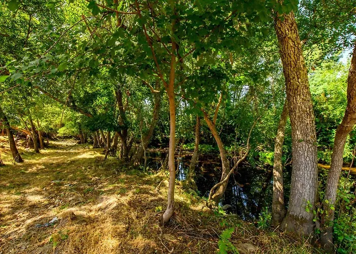 Quinta Do Quinto בית הארחה