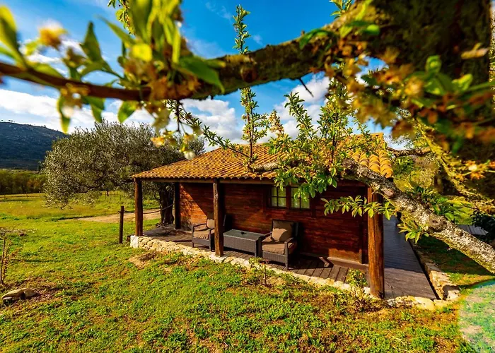 Quinta Do Quinto בית הארחה Porto da Carne