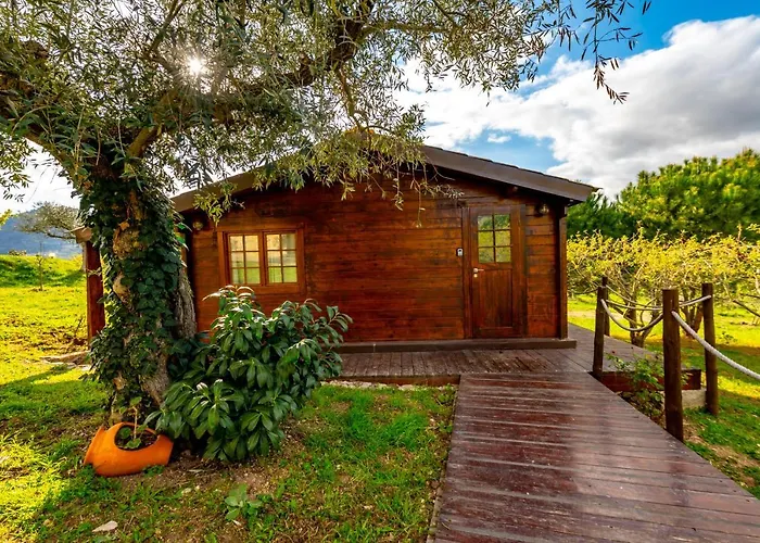 Quinta Do Quinto 4* Porto da Carne